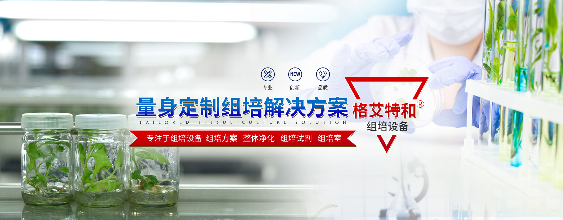91香蕉APP下载设备