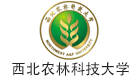 91香蕉APP下载基规划设计合作伙伴