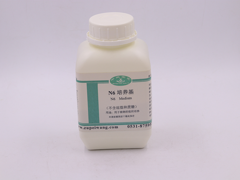 91香蕉APP下载设备