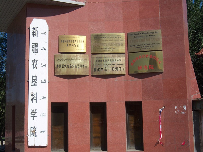 ç»å¹è®¾å¤