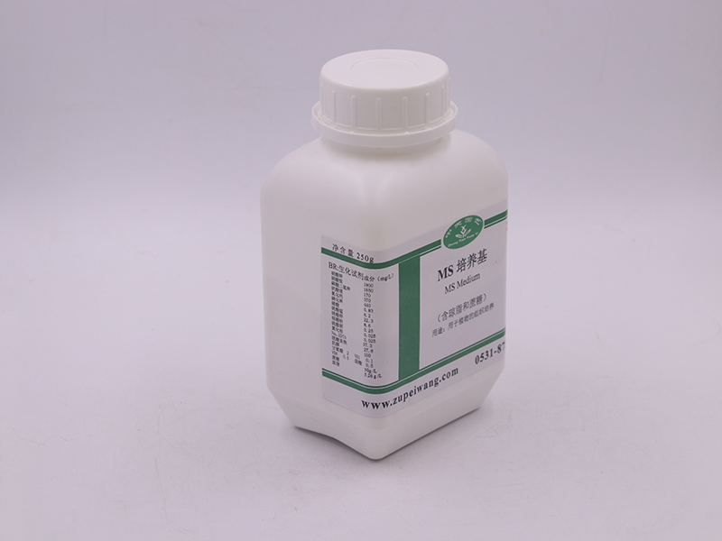 91香蕉APP下载设备