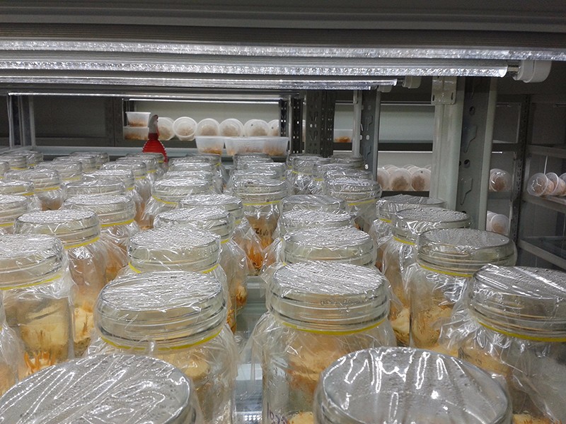 ç»å¹è®¾å¤