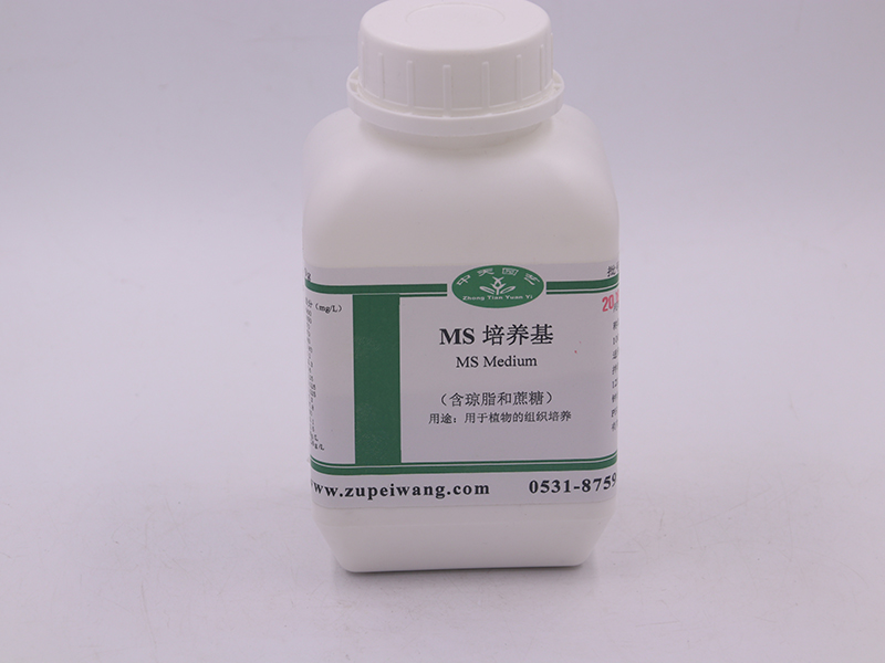 91香蕉APP下载设备