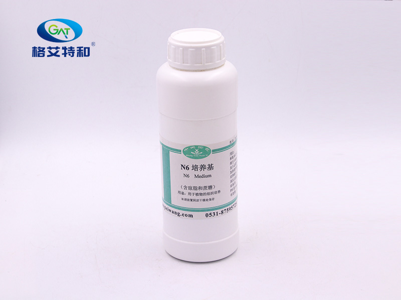 N6培养基(不含琼脂含蔗糖)