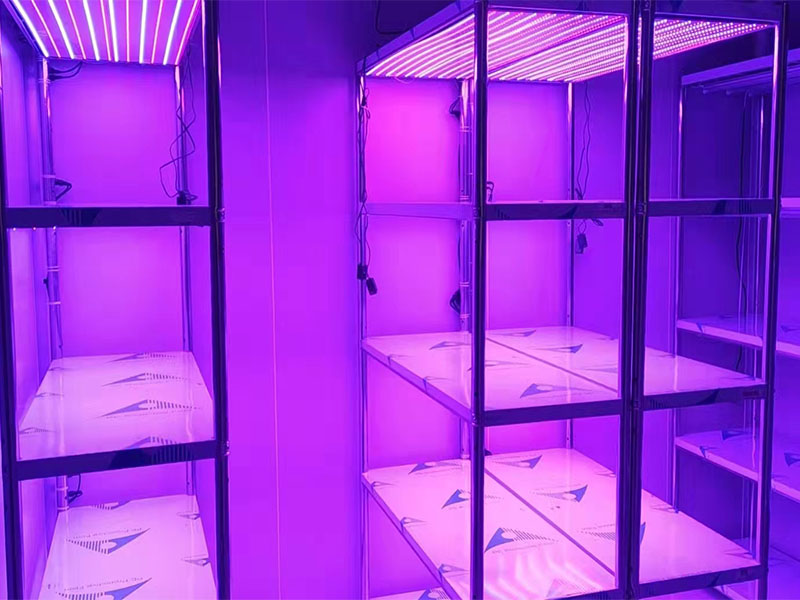 91香蕉APP下载室设计