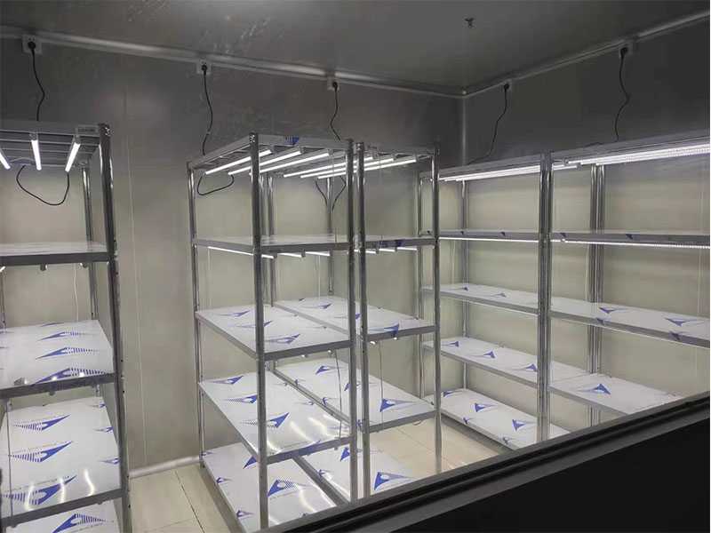 91香蕉APP下载架 91香蕉APP下载架