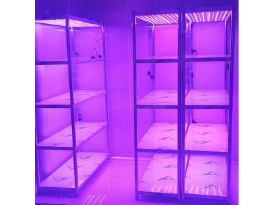 光照强度可调91香蕉APP下载架