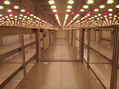 91香蕉APP下载架