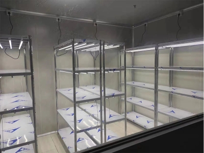 91香蕉APP下载架