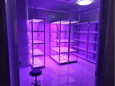 可调光谱91香蕉APP下载架香蕉视频污软件