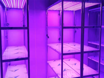 光照强度可调91香蕉APP下载架