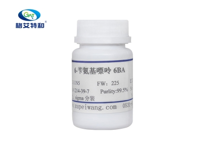 91香蕉APP下载设备