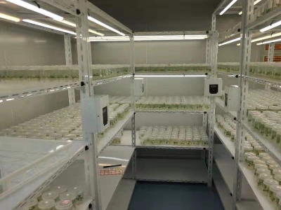 91香蕉APP下载仪器