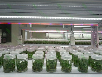 91香蕉APP下载室设计