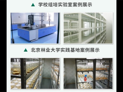 91香蕉APP下载室设计建设