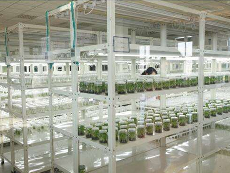 91香蕉APP下载室 91香蕉APP下载室