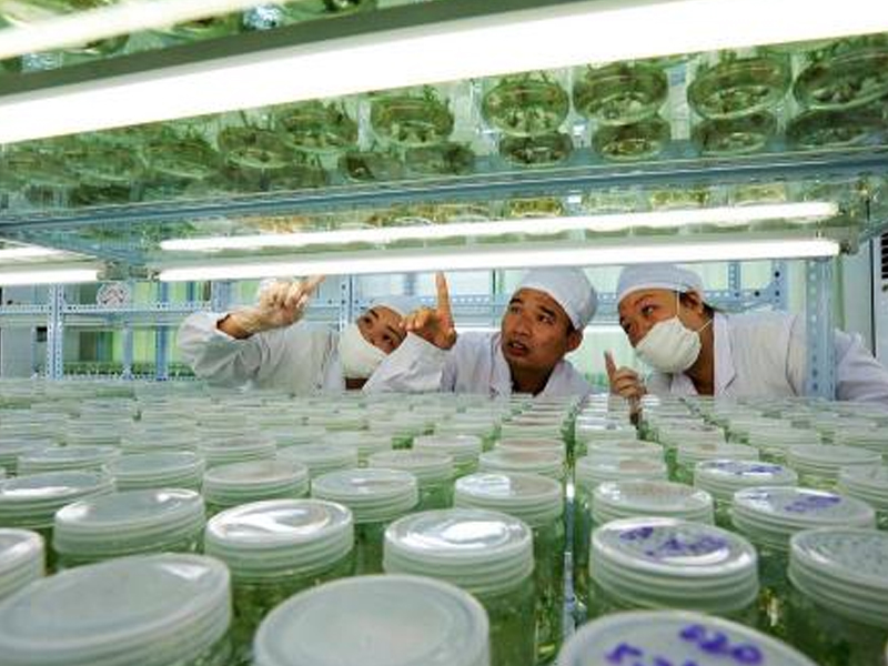 91香蕉APP下载室2 91香蕉APP下载室2