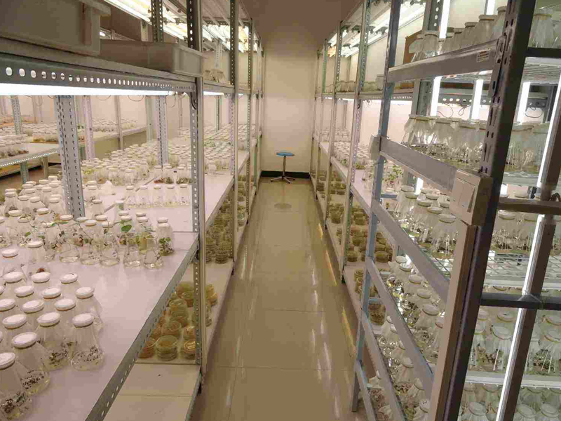 91香蕉APP下载室1