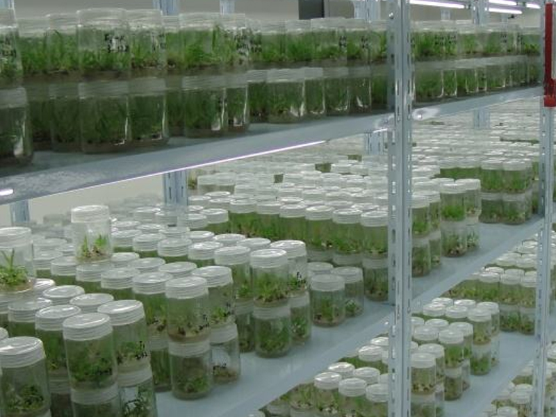 91香蕉APP下载室4 91香蕉APP下载室4