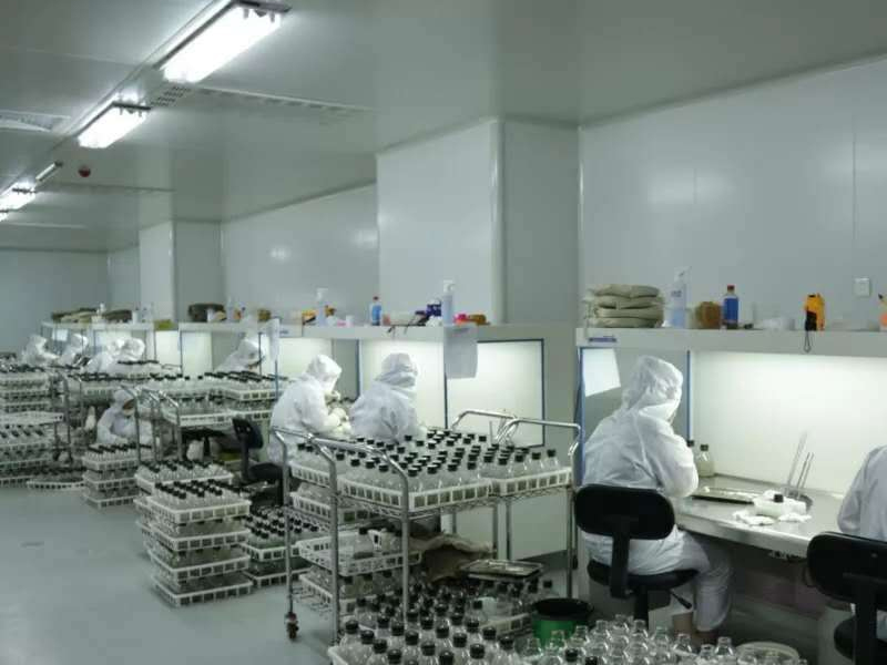 91香蕉APP下载室12 91香蕉APP下载室12