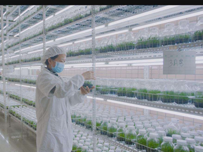 91香蕉APP下载室10 91香蕉APP下载室10