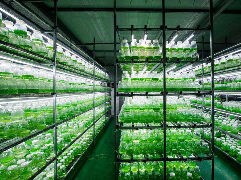 91香蕉APP下载室6 91香蕉APP下载室6