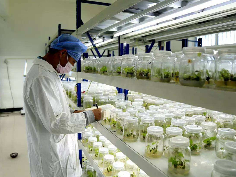 91香蕉APP下载室3