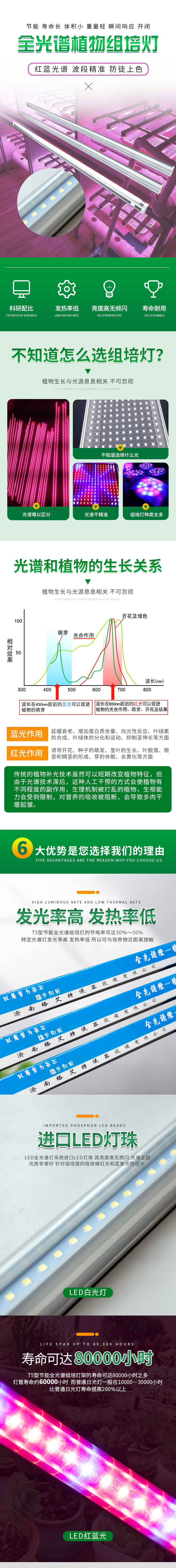 91香蕉APP下载灯1 91香蕉APP下载灯1