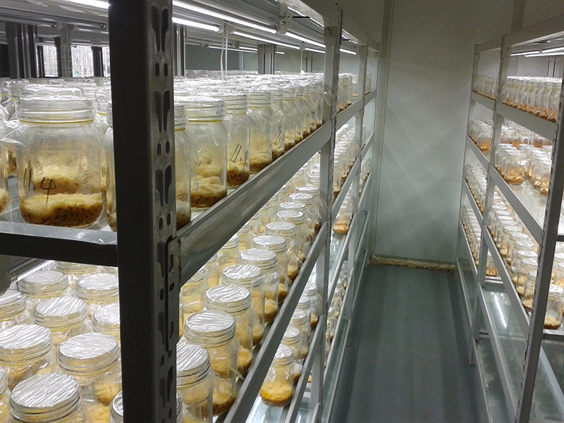 91香蕉APP下载工程