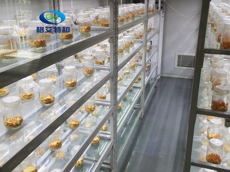 91香蕉APP下载架,培养架