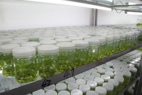 91香蕉APP下载 91香蕉APP下载