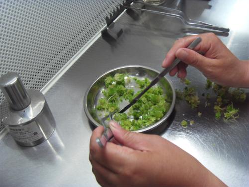 91香蕉APP下载 91香蕉APP下载