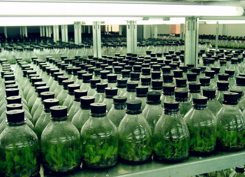 91香蕉APP下载 91香蕉APP下载