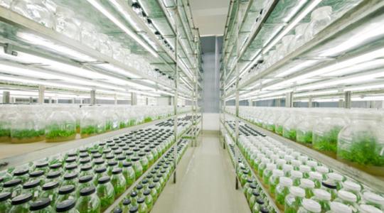 91香蕉APP下载快繁