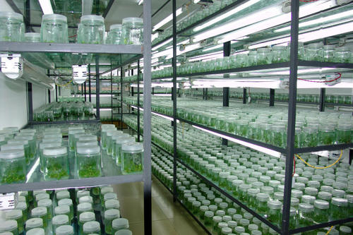 91香蕉APP下载快繁