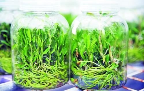 91香蕉APP下载 91香蕉APP下载