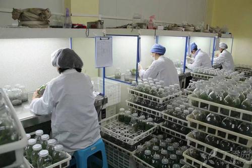 91香蕉APP下载 91香蕉APP下载