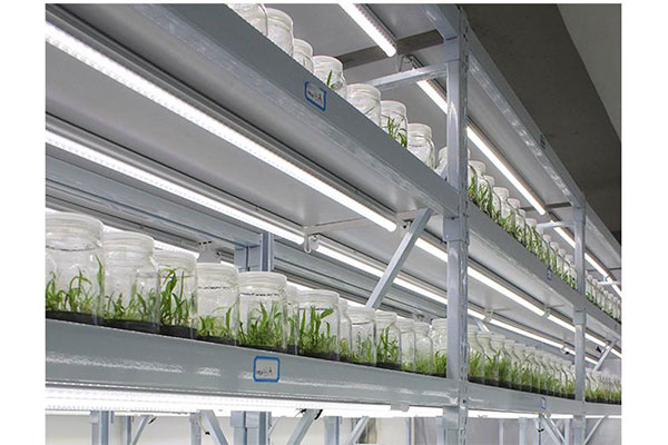 91香蕉APP下载架 91香蕉APP下载架