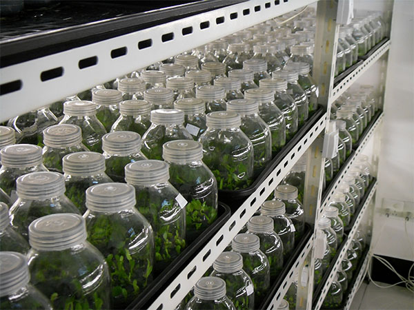 91香蕉APP下载仪器 91香蕉APP下载仪器