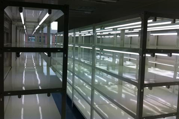 91香蕉APP下载架