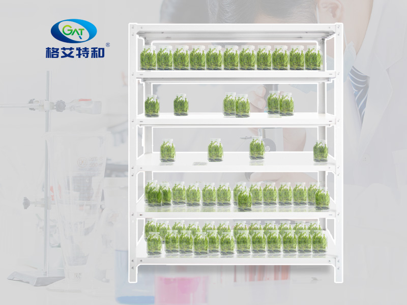 91香蕉APP下载架 91香蕉APP下载架