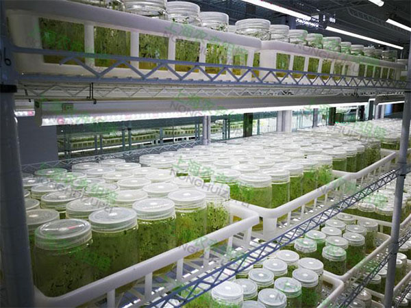 91香蕉APP下载设备 91香蕉APP下载设备