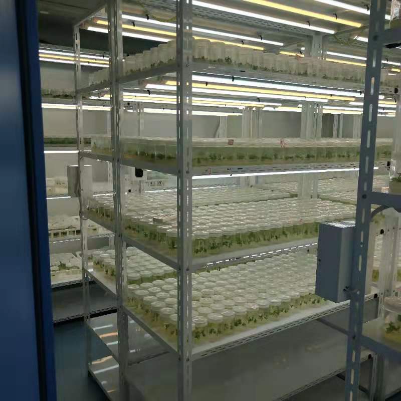 91香蕉APP下载仪器