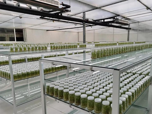 91香蕉APP下载架生产厂家 91香蕉APP下载架生产厂家