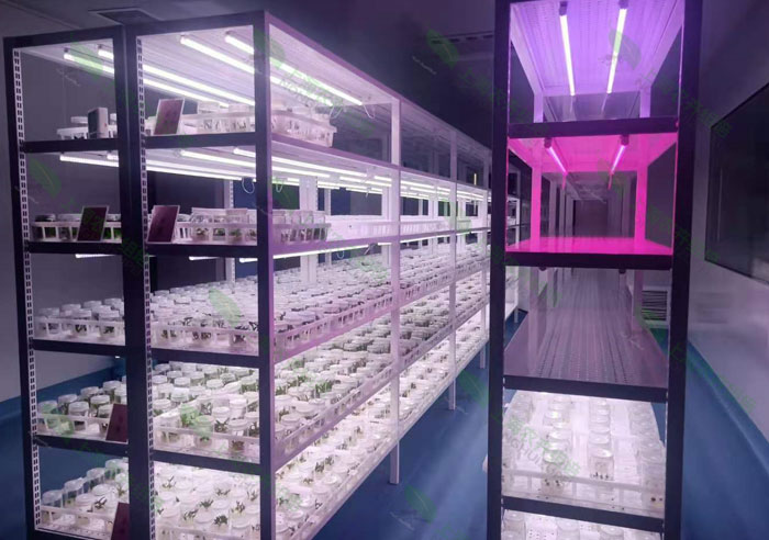 91香蕉APP下载室 91香蕉APP下载室