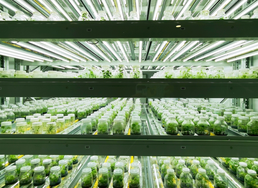 91香蕉APP下载室设计