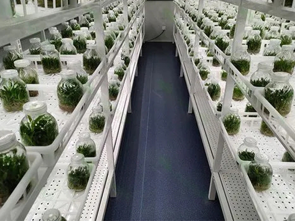 91香蕉APP下载室设计厂家