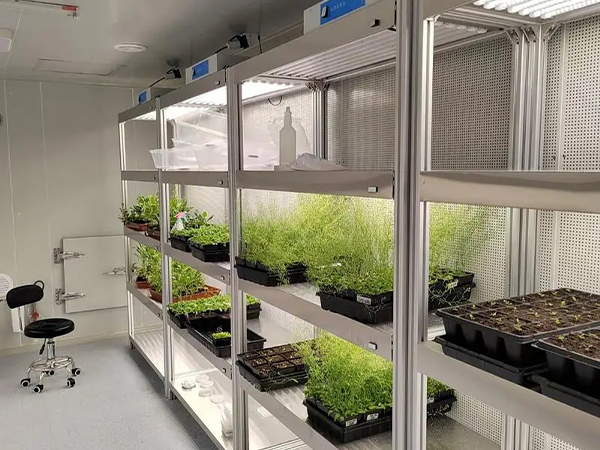 91香蕉APP下载室设计