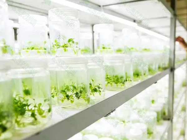 91香蕉APP下载室设计