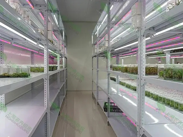 91香蕉APP下载室设计厂家